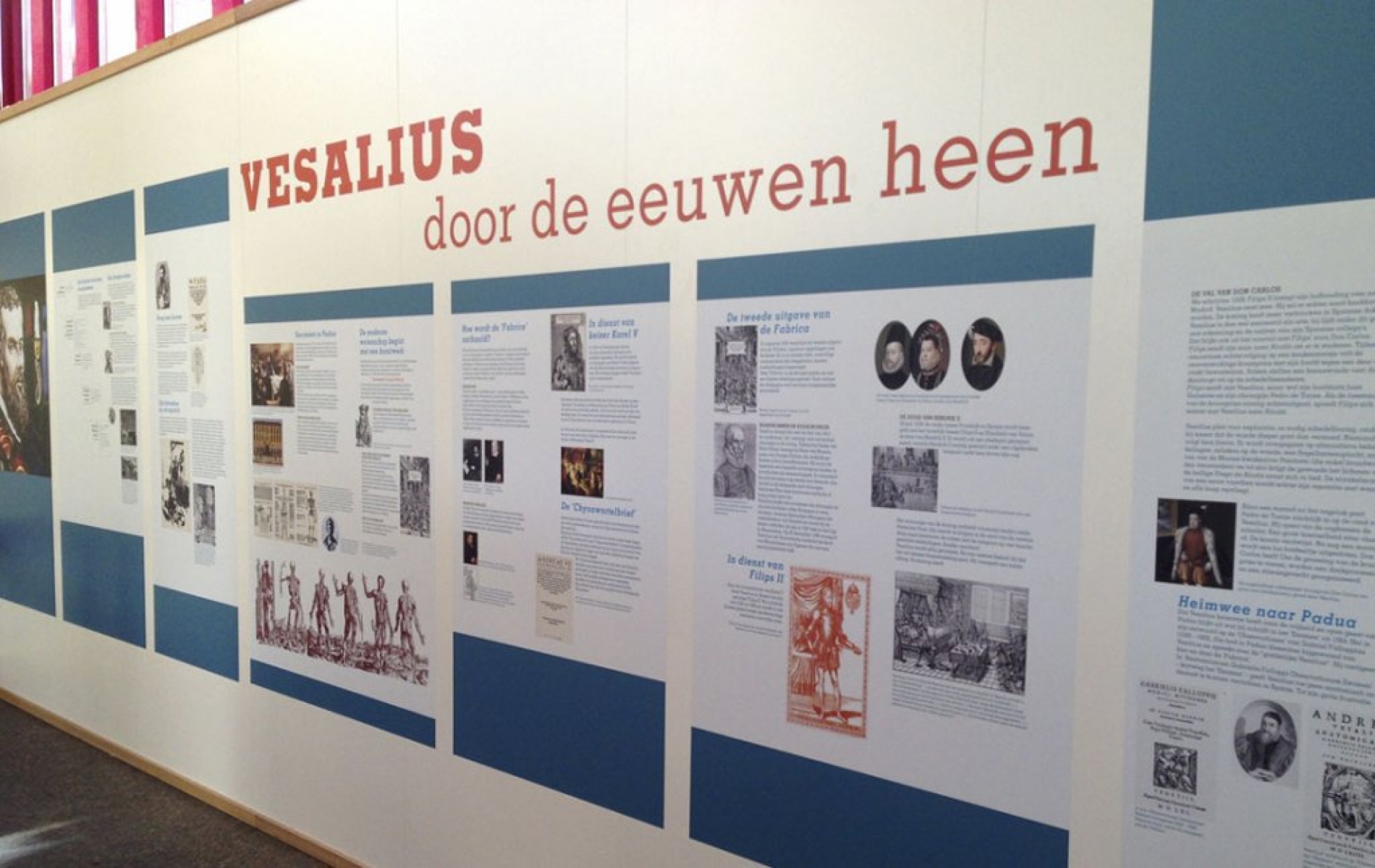 Vesalius door de eeuwen heen